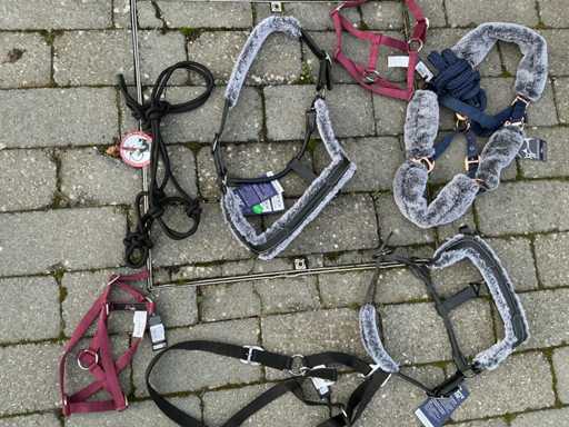 Halters horses (7x)