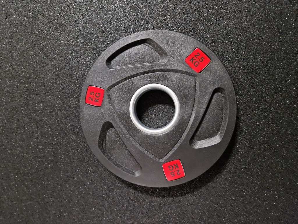 2023 - Weight plate 2.5 KG (4x)