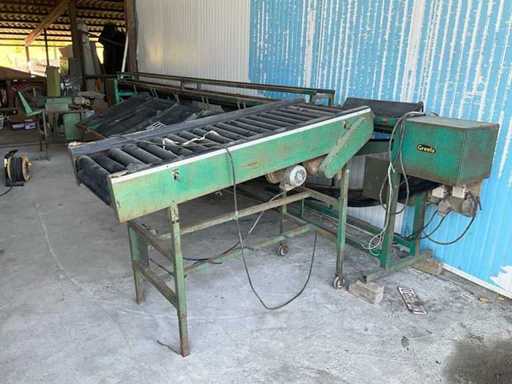 Apple and pear sorting machine with pallet box filler