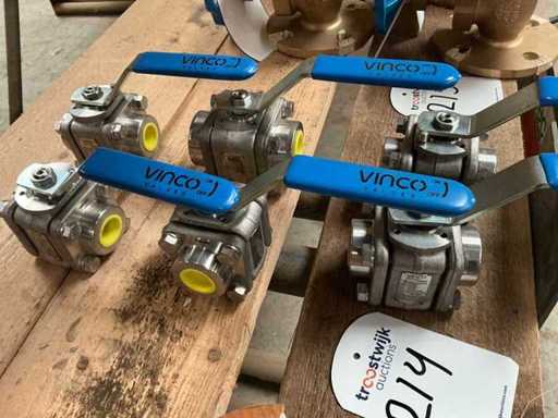 Vinco Ball Valve (6x)