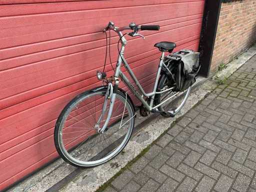 Vélo Gudereit Fantasy