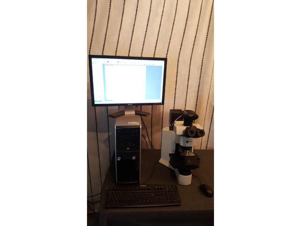 OLYMPUS - BX51RF + U-LH100-3 + SC20 + U-TV0.5XC-3 + U-25LBD + USB DONGLE - Mikroskop fluorescencyjny