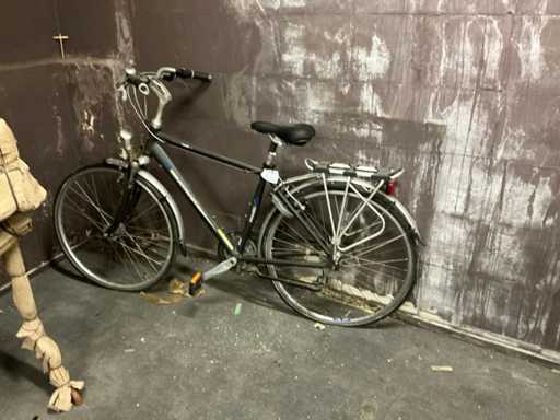 Batavus en worldbike Diverse fietsen (2x)