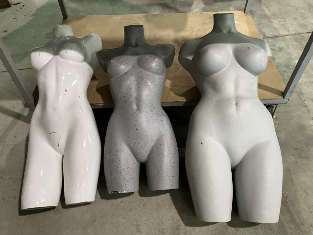 14 assorted mannequins for lingerie