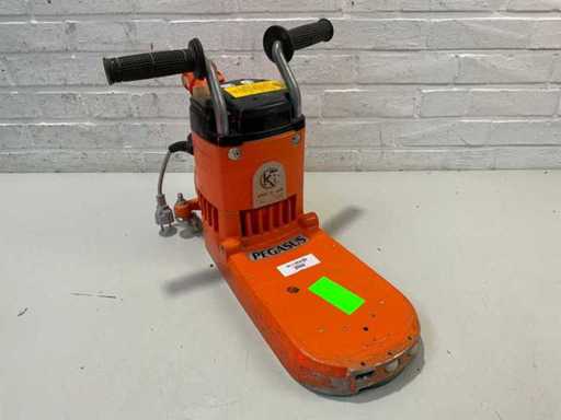 Künzle & Tasin - 2010 - Pegasus - Râșniță electrică cu margini