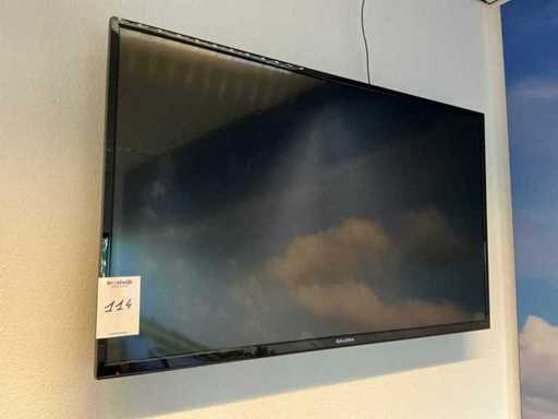 Salora Television