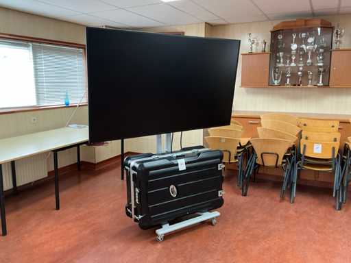 Optoma Monitor de pantalla plana