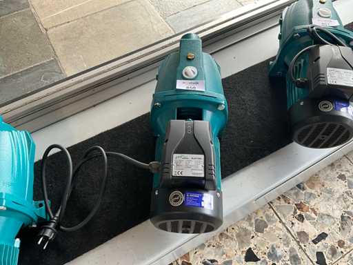 2021 Leo AJM150L Pompa dell'acqua