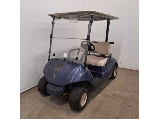 2017 Yamaha Drive 2 Golfwagen