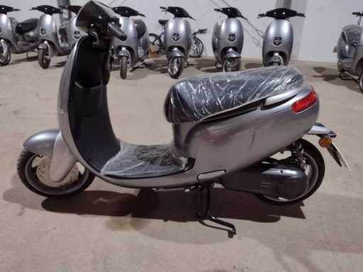 SAXXX - E-Scooter - Ecooter E1S - Scooter