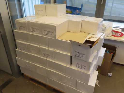 Forms plus - FPS-13 - papier A4 z etykietą (77x)