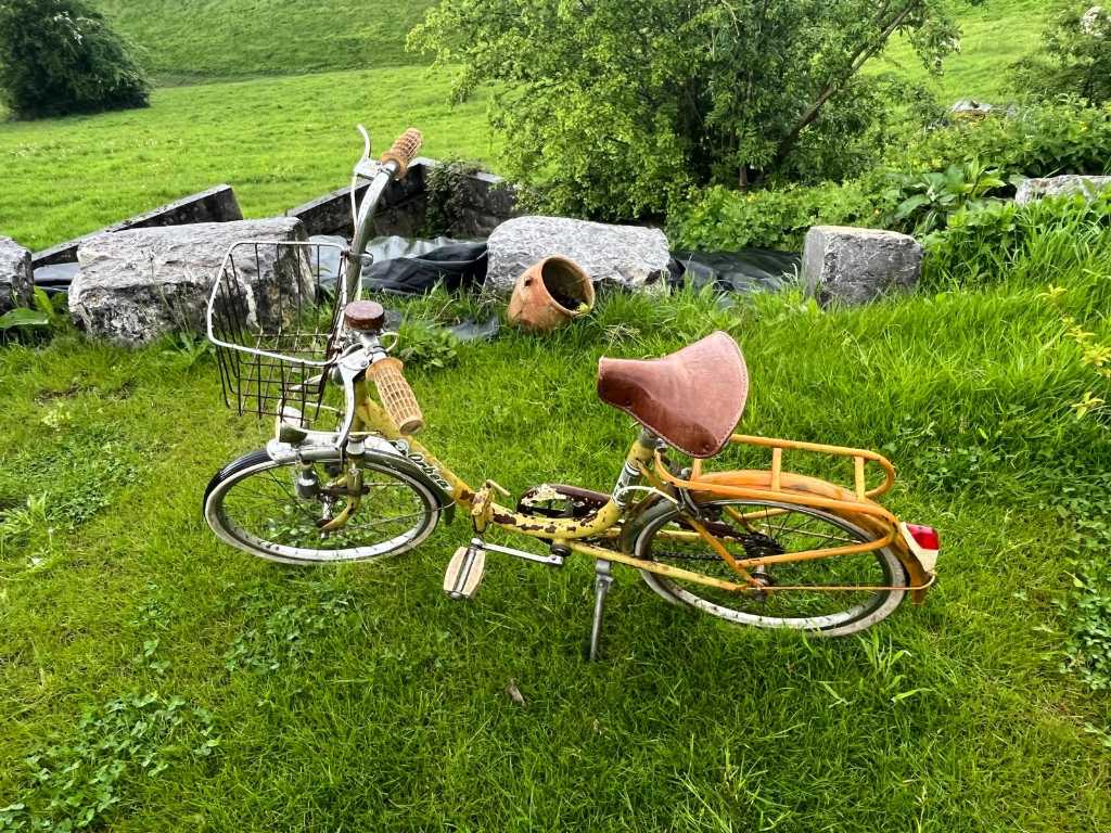 Ancient bike