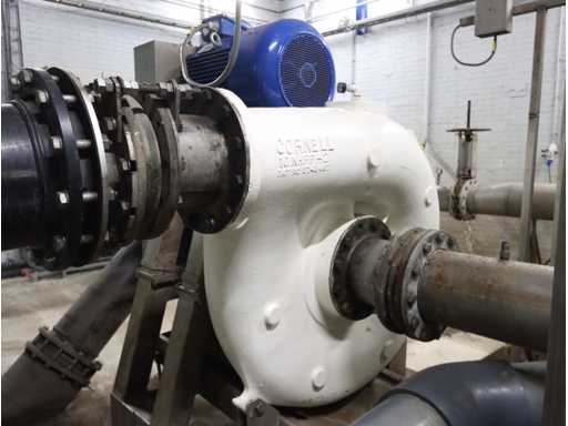 Cornell 10 NHPP-2 Food Pump (3x)