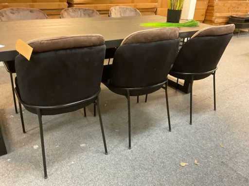GM Stühle - Champagne -Schwarz (6x)