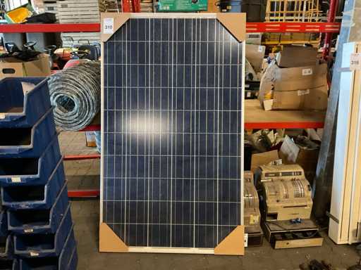 Huashun SH-250P6-20 Solarpanel