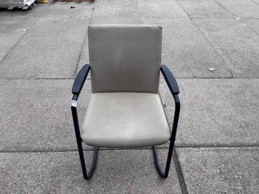 Sitzungsvorsitzender (4x)
