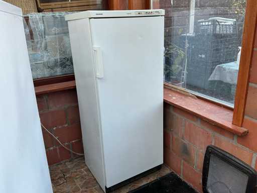 Siemens Vriezer vriezer