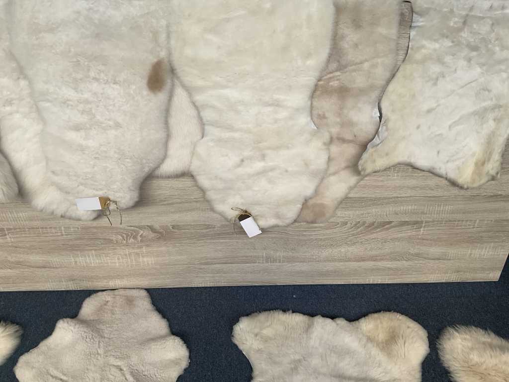 Pelliccia da tappeto (12x)