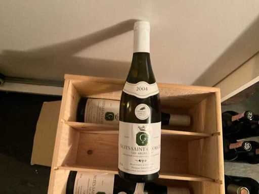 2004 Nuits-Saint-Georges “Les Argillats” Witte wijn (3x)