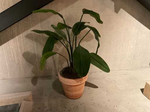 Kunstpflanze mit Topf