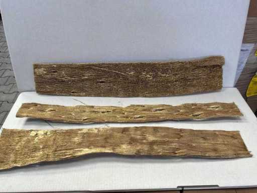 Material decorativ (216x)