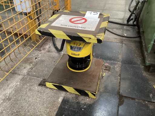 REER Laser Barriers (2x)