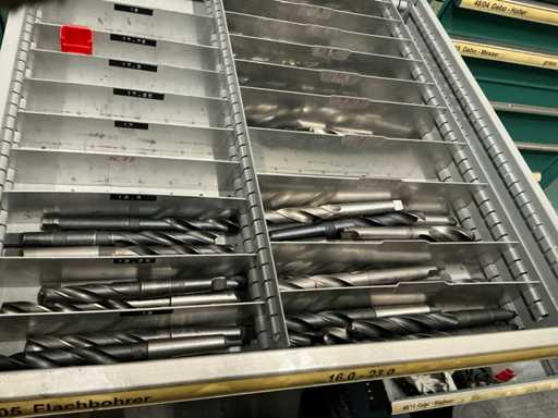 Puntina piatta Lotto