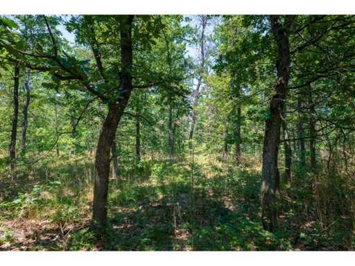 28.886 m² Mischwald – Region Vidin – Bulgarien