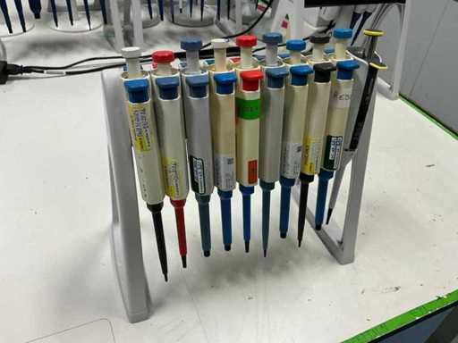 Biohit Pipettes avec portant (10x)