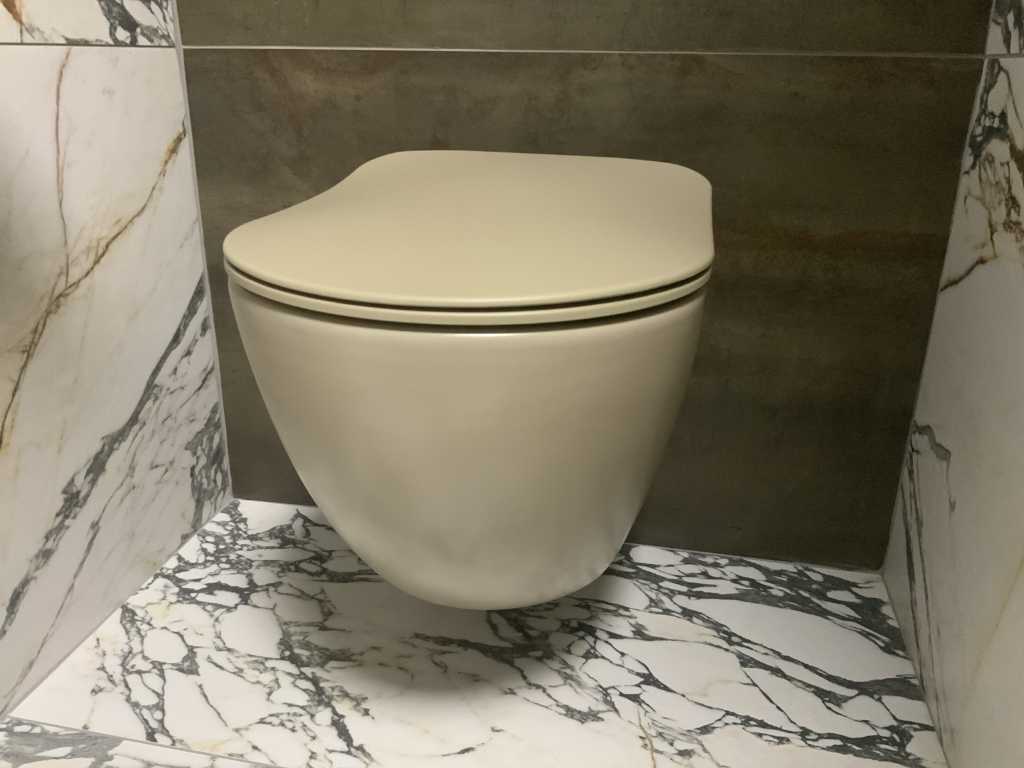 Toaleta wisząca