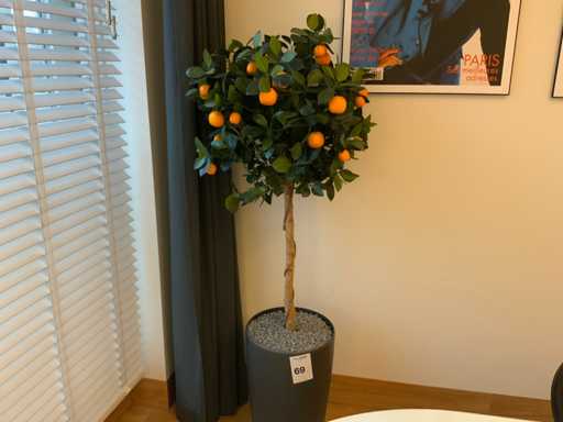 Plant met pot