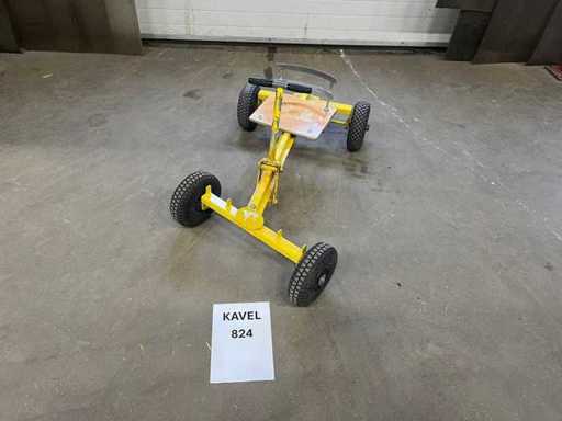 Jaune du Hollandais Volant