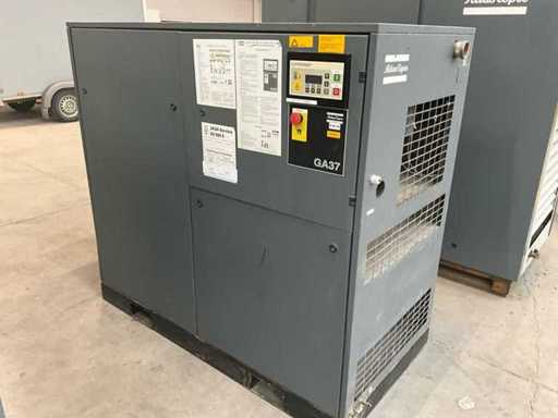 1995 Atlas Copco GA37 - Schroefcompressor