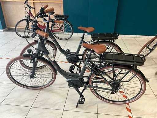 Eluxo Epona Elektrische fiets ongebruikt (2x)