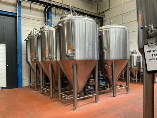 2023 Ant systems Fermentatie tank (6x)