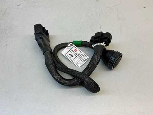 Citroen Branch Cable Control Unit Luchtveringscontrolemodule