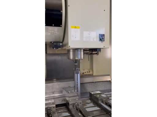 VID-20250718-WA0004.mp4