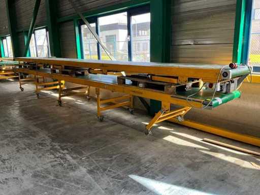 Schuma-Förderband (2x)