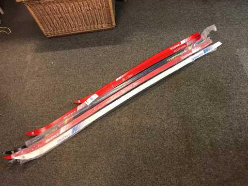 Muckle Ski (5 volte)