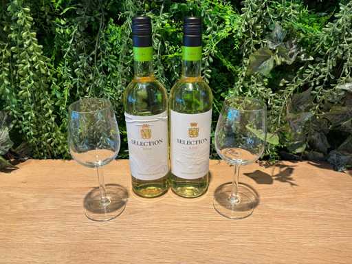 Bouteille de vin blanc (7x)