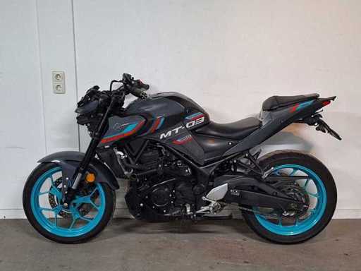 Yamaha MT03 MTN320A motor de 300cc