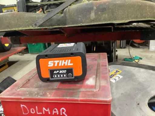 Piles Stihl AP300