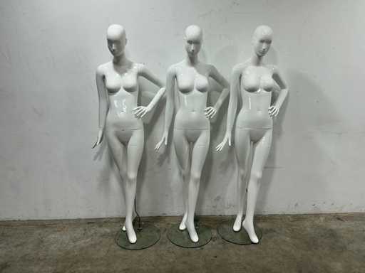 Manikin (3x)