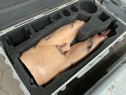 Ajutor pentru antrenament în traumă