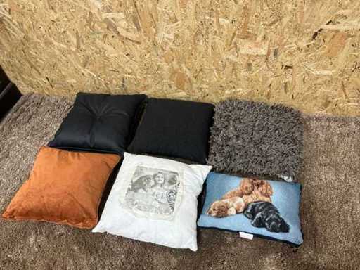 Diverse sierkussens (6x)