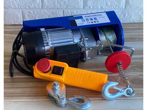 Electric wire rope hoist