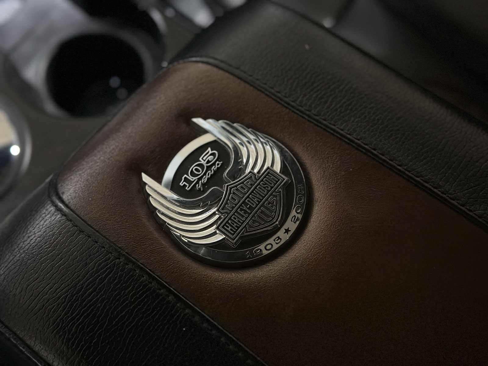 Ford F150 Harley Davidson 5.4L V8 300pk 2009, 20-VRV-4