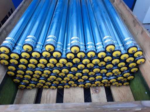 Interrol - Przeno?nik rolkowy rolkowy (115x)