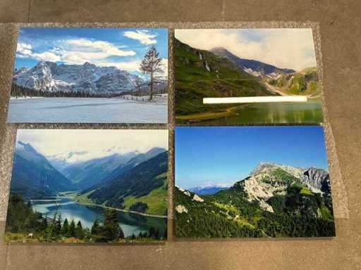 Print "Boudewijn Dupont" (4x)