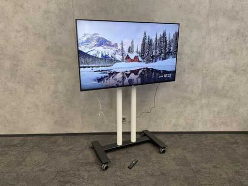 Sony Bravia - 65" monitor op verrijdbaar statief